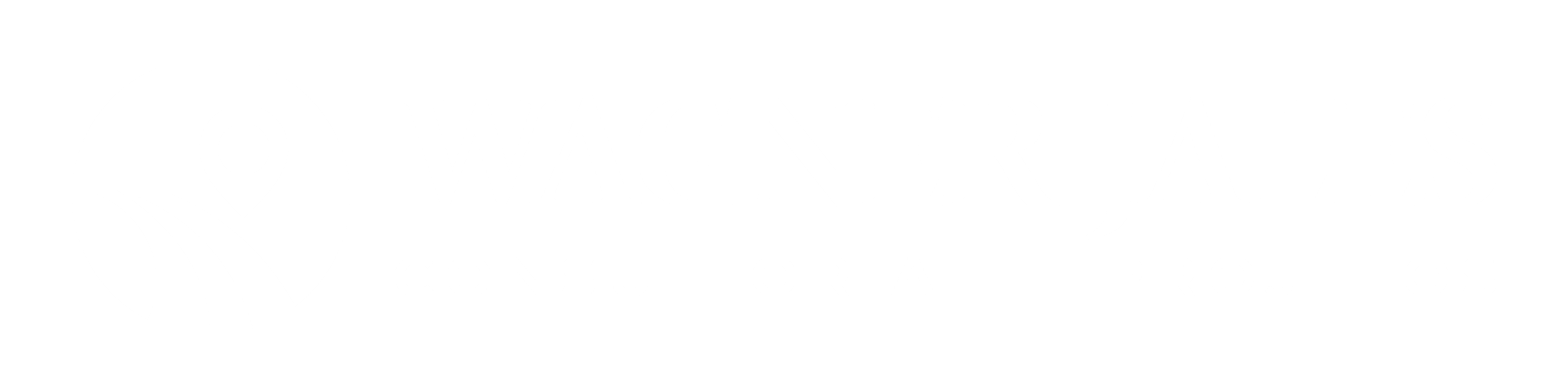 Logo Wagner Jales